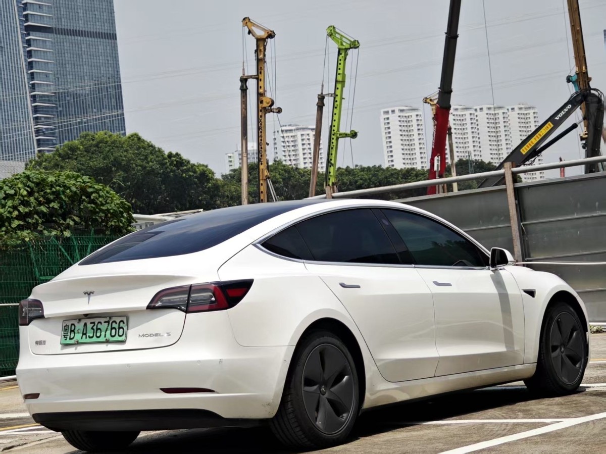 Tesla Model 3 2020 car image #9