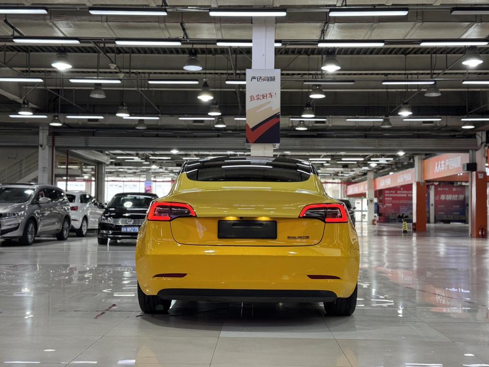Tesla Model 3 2020 car image #5