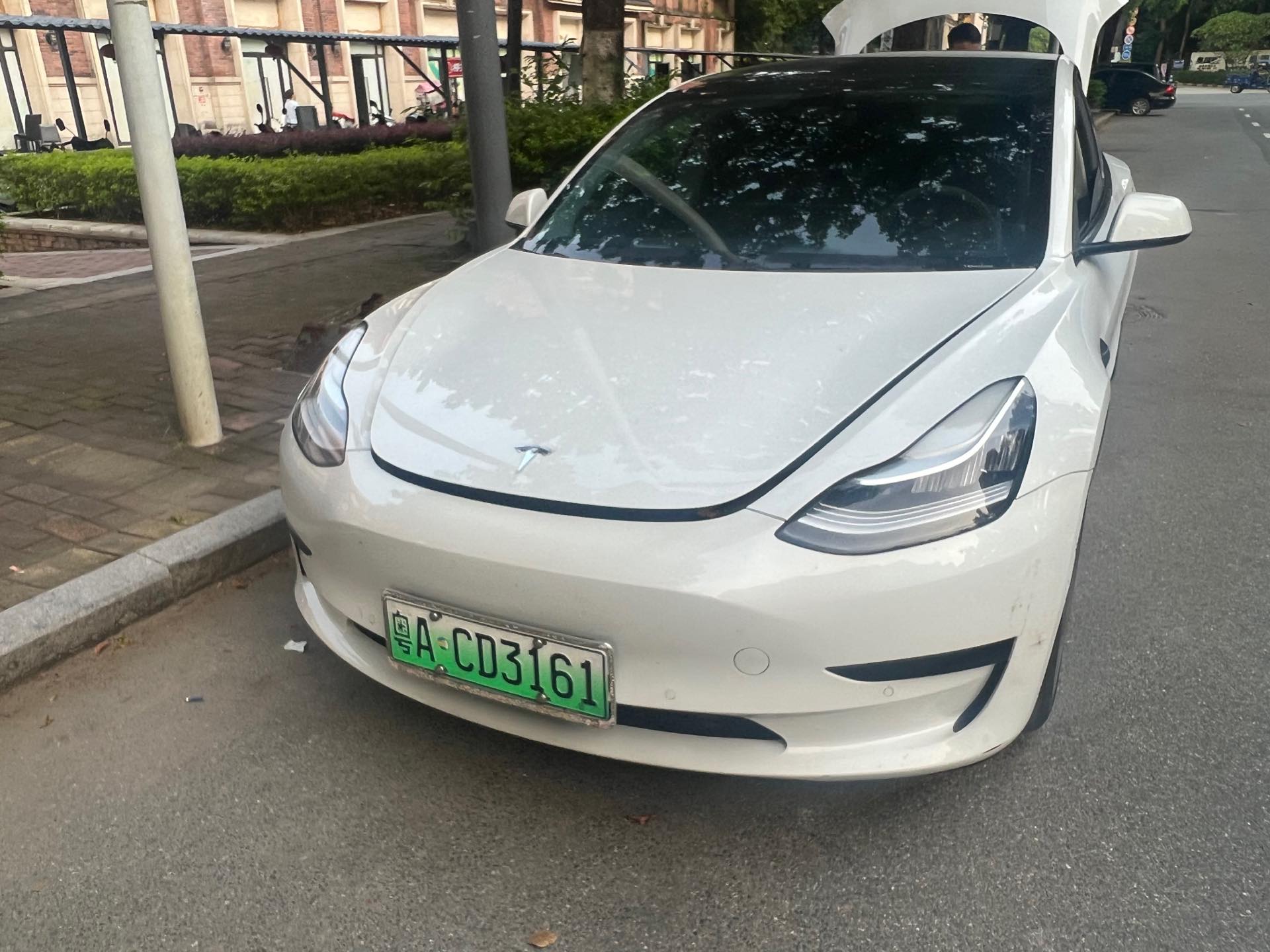 Tesla Model 3 2020 Tesla Model 3 2020 car image