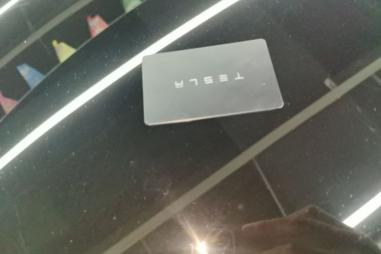 Tesla Model 3 2023 #9 Tesla Model 3 2023 car image #9