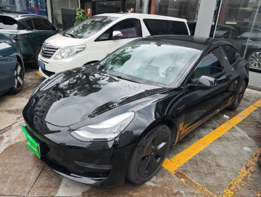 Tesla Model 3 2020 car image 