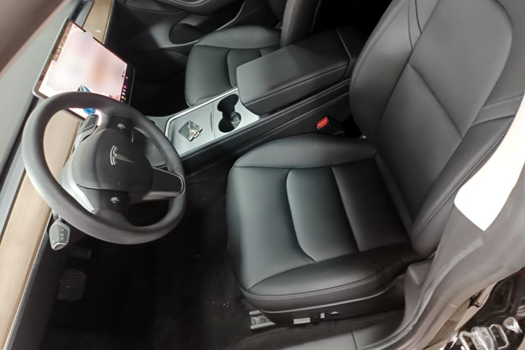 Tesla Model 3 2021 car image #15