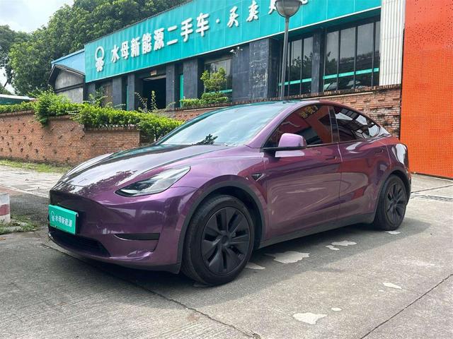 Tesla Model Y 2024 car image #15