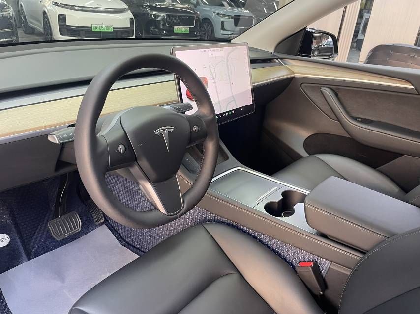 Tesla Model Y 2021 car image #10