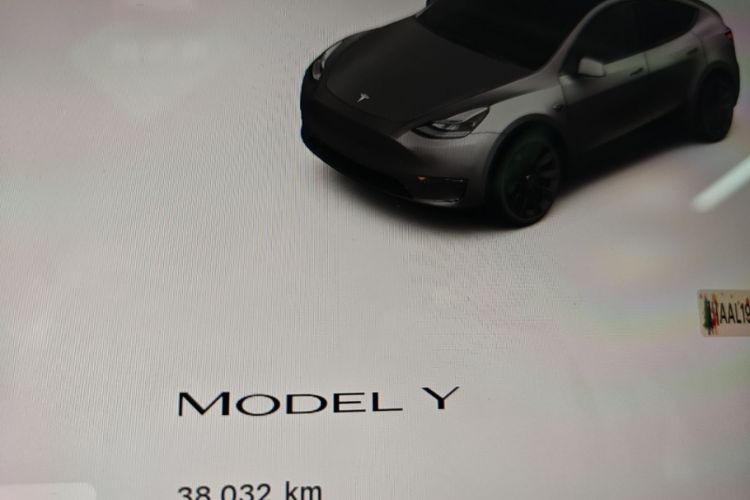 Tesla Model Y 2023 car image #12