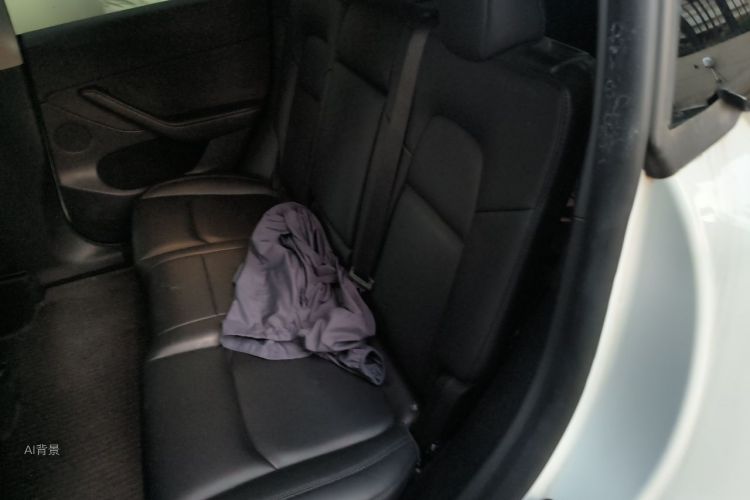 Tesla Model Y 2023 #19 Tesla Model Y 2023 car image #19