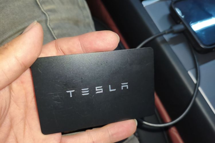 Tesla Model 3 2023 #9 Tesla Model 3 2023 car image #9
