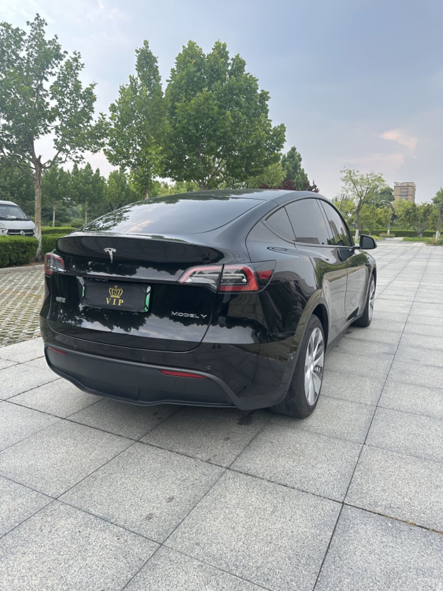 Tesla Model Y 2022 car image #6