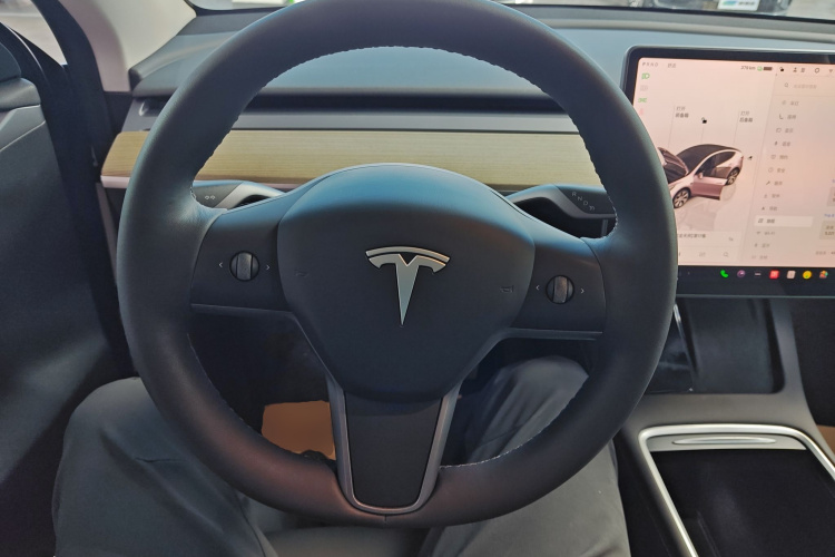 Tesla Model Y 2023 immagine di auto #11