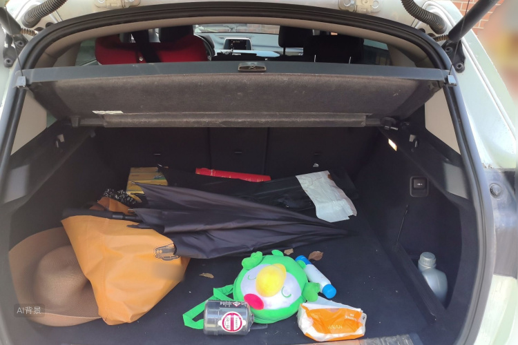 BMW X1 2017 car image #21