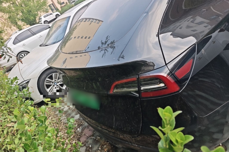 Tesla Model Y 2022 #6 Tesla Model Y 2022 immagine di auto #6