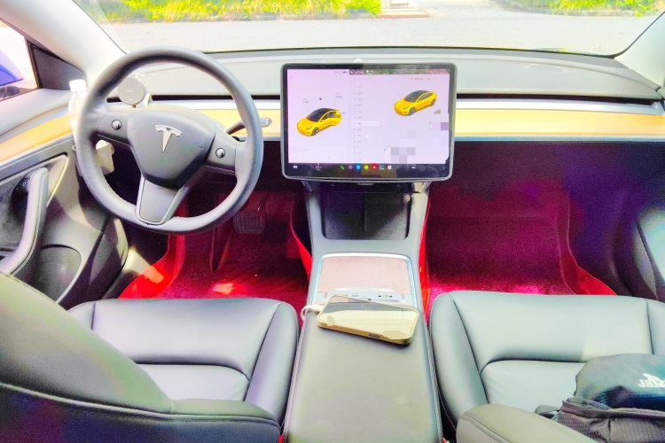 Tesla Model 3 2021 #7 Tesla Model 3 2021 immagine di auto #7