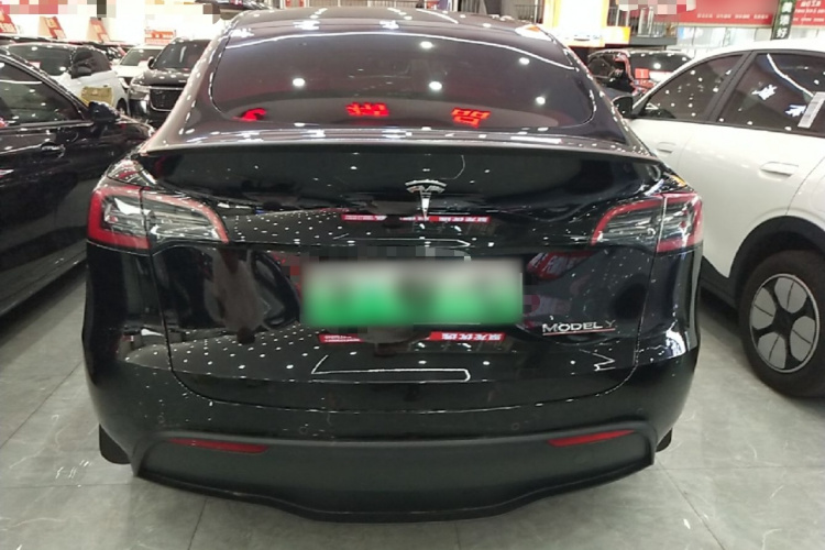 Tesla Model Y 2023 car image #6
