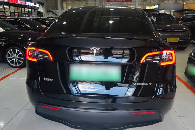 Tesla Model Y 2024 #6 Tesla Model Y 2024 car image #6