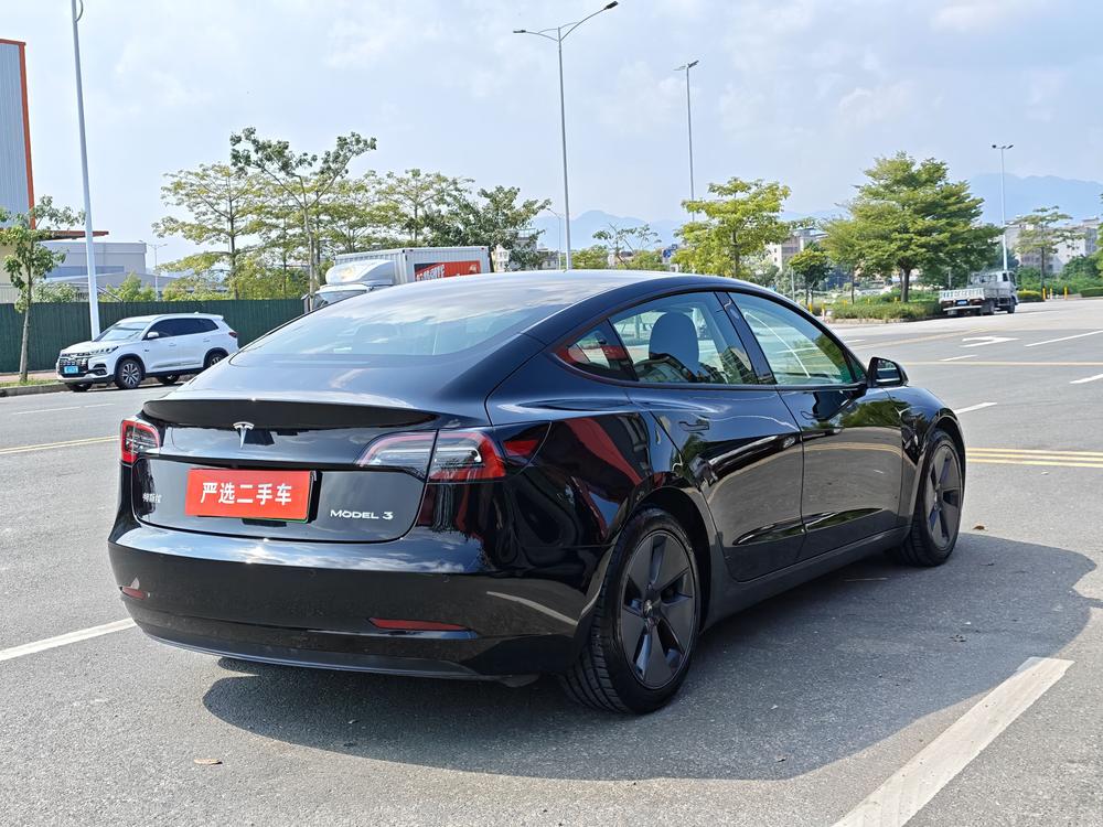 Tesla Model 3 2021 #14 Tesla Model 3 2021 car image #14