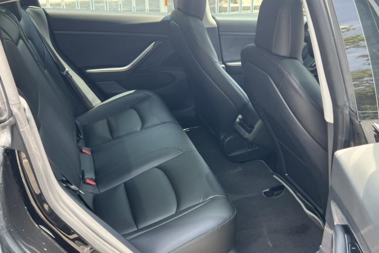 Tesla Model 3 2020 #15 Tesla Model 3 2020 car image #15