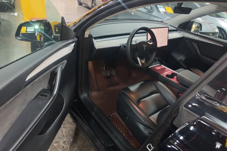 Tesla Model Y 2024 car image #16