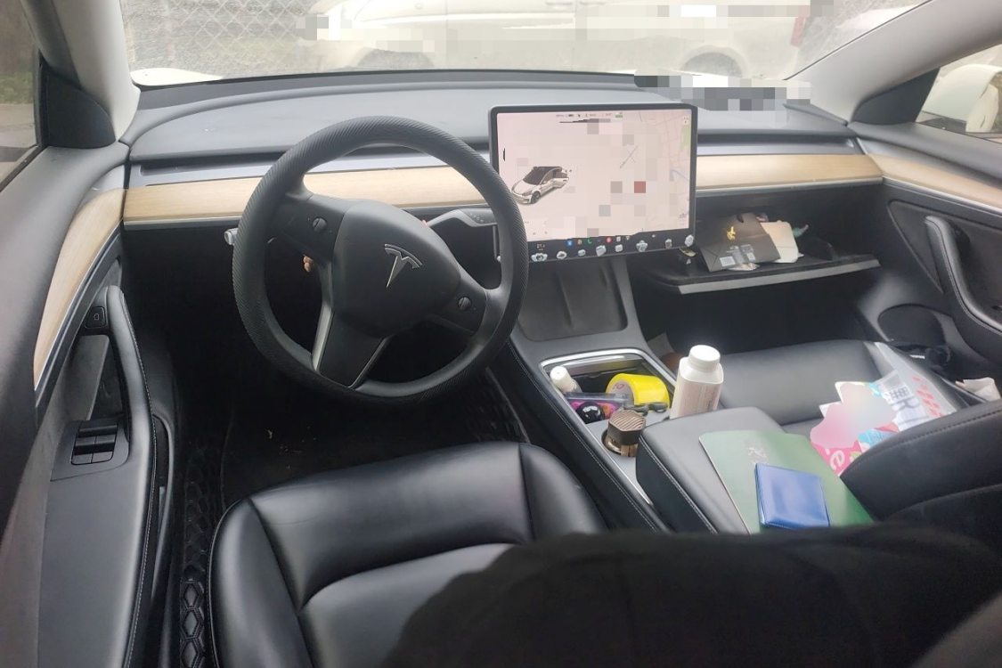 Tesla Model 3 2021 car image #21