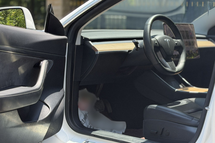 Tesla Model 3 2020 car image #13