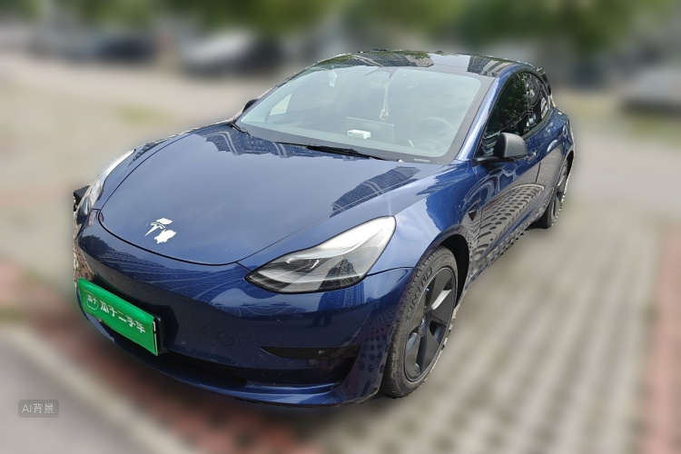 Tesla Model 3 2021 car image #2