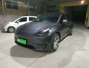 Tesla Model Y 2022 Tesla Model Y 2022 car image