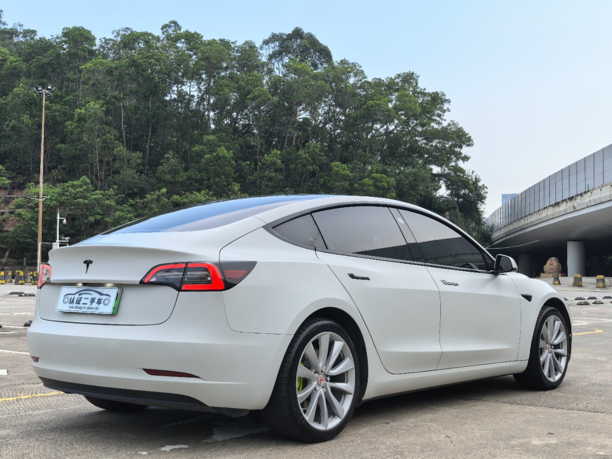 Tesla Model 3 2020 car image #10