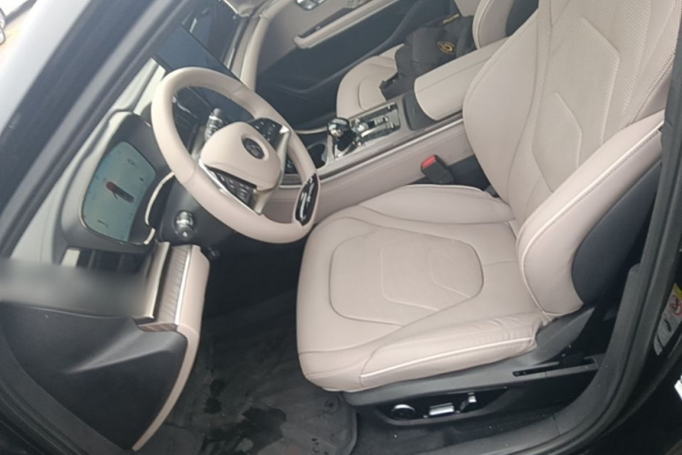 BYD Han 2024 car image #15