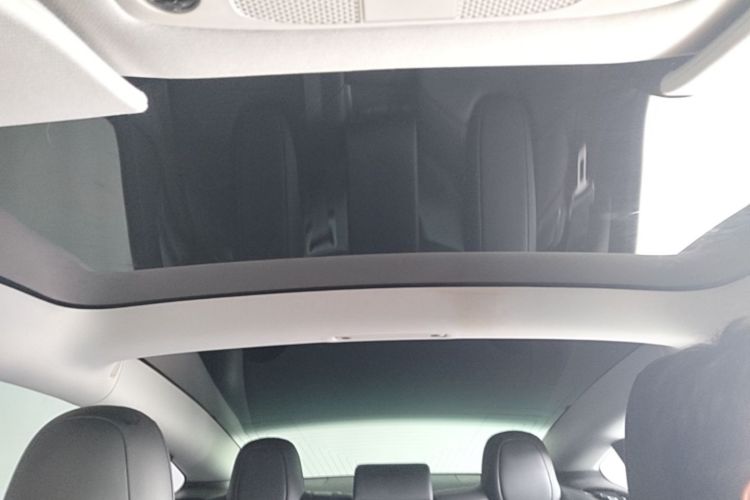 Tesla Model 3 2020 car image #18