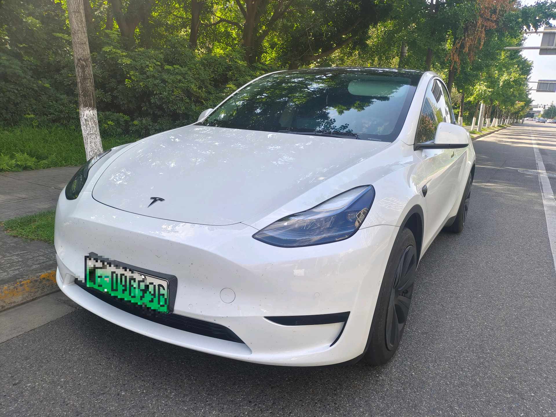 Tesla Model Y 2024 Tesla Model Y 2024 car image