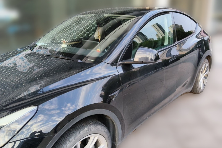 Tesla Model Y 2023 immagine di auto #2
