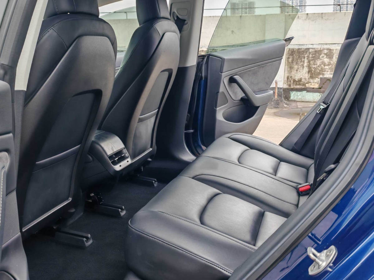 Tesla Model 3 (Imported) 2019 car image #9