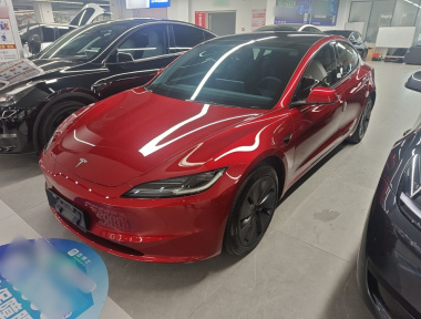 Tesla Model 3 2024 car image 