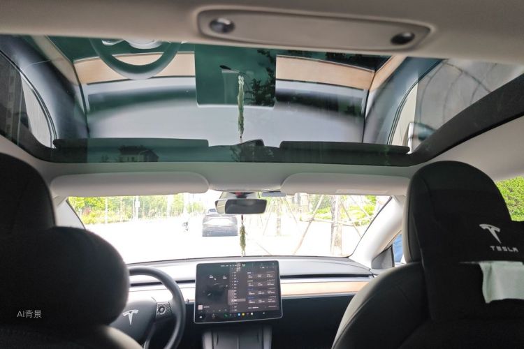 Tesla Model 3 2022 car image #20