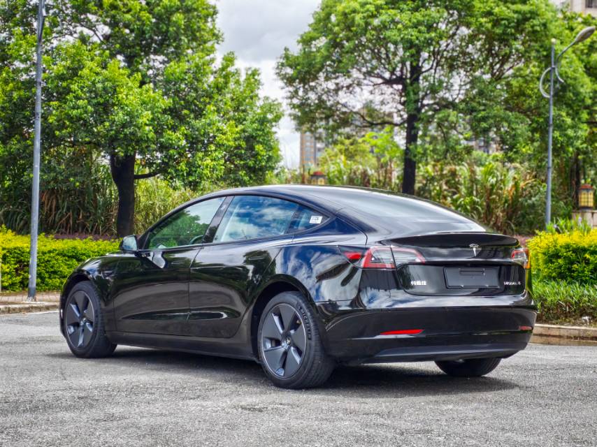 Tesla Model 3 2022 #13 Tesla Model 3 2022 car image #13