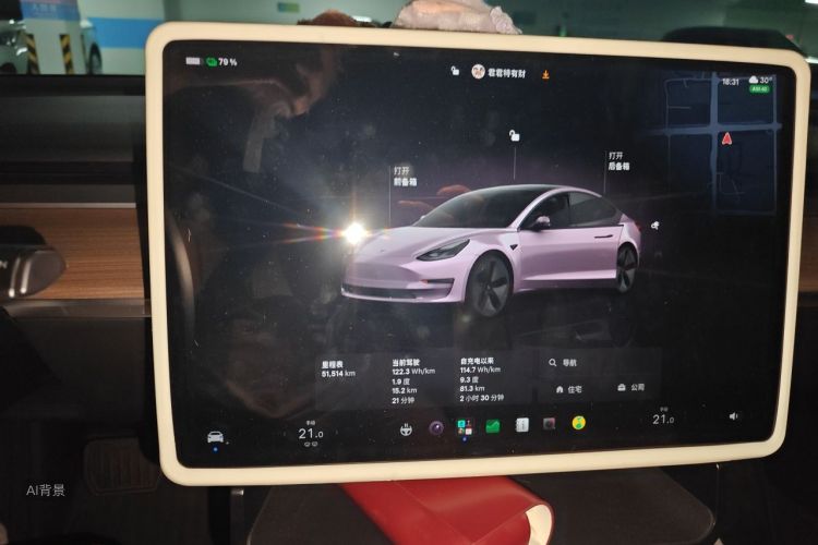 Tesla Model 3 2023 car image #13
