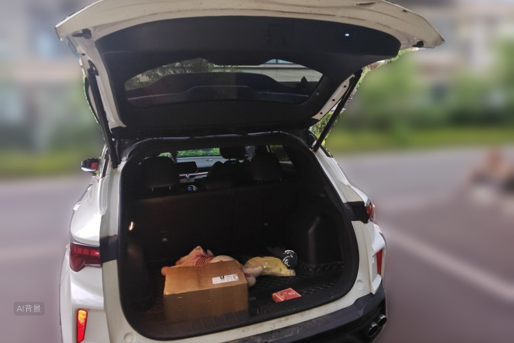 GEELY Coolray 2022 car image #21
