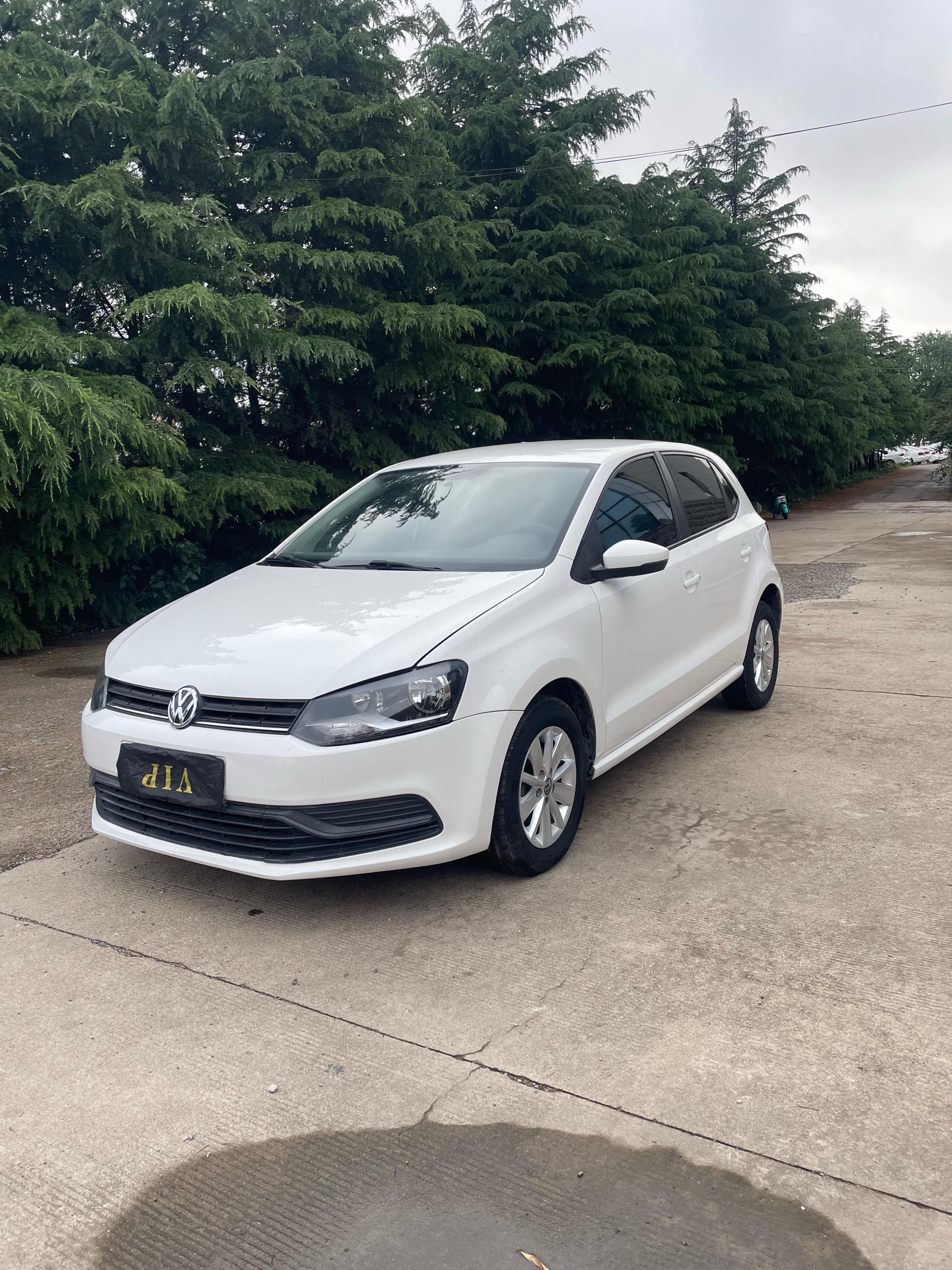 Volkswagen Polo 2019 car image 