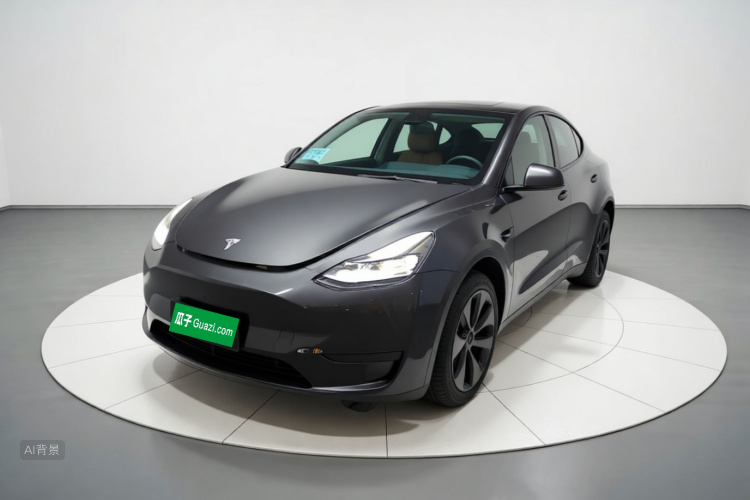 Tesla Model Y 2024 #2 Tesla Model Y 2024 car image #2