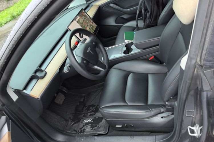 Tesla Model 3 2021 car image #19