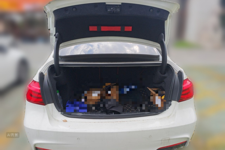 BMW 3 Series 2019 car image #21