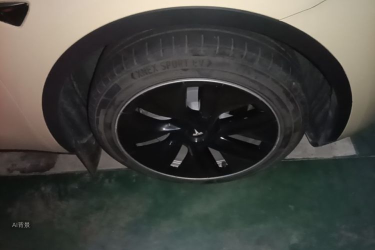 Tesla Model Y 2021 car image #9