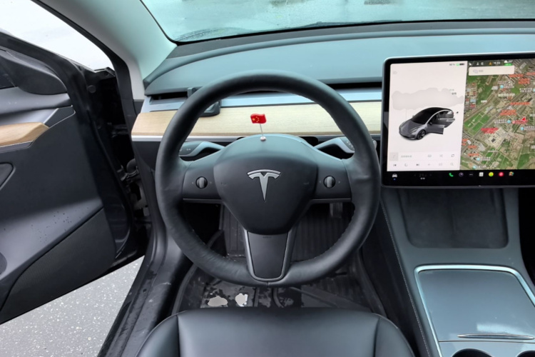 Tesla Model 3 2021 car image #15
