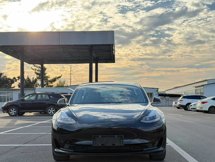 Tesla Model 3 2020 immagine di auto #2