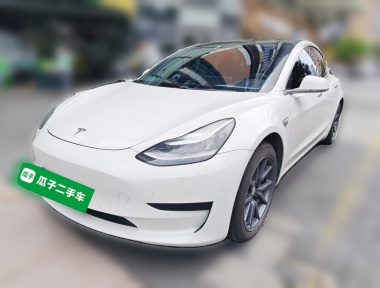 Tesla Model 3 2020 Tesla Model 3 2020 car image