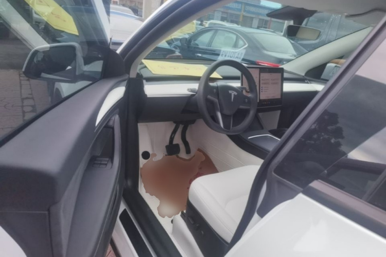 Tesla Model Y 2023 #16 Tesla Model Y 2023 car image #16