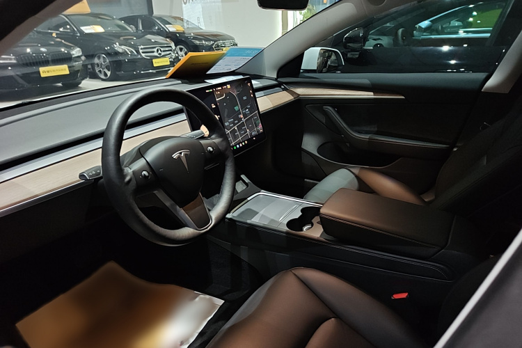 Tesla Model 3 2021 immagine di auto #10