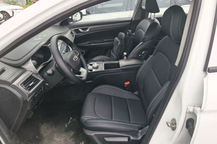 GEELY Emgrand New Energy 2021 car image #15