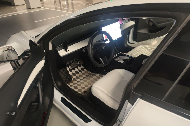 Tesla Model 3 2021 immagine di auto #18