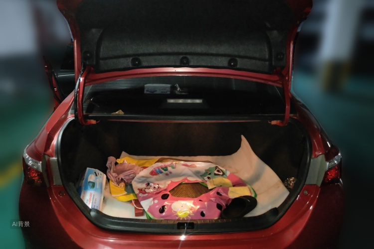 2015 #21 2015 car image #21