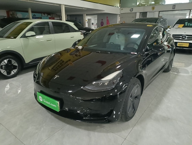 Tesla Model 3 2023 car image 